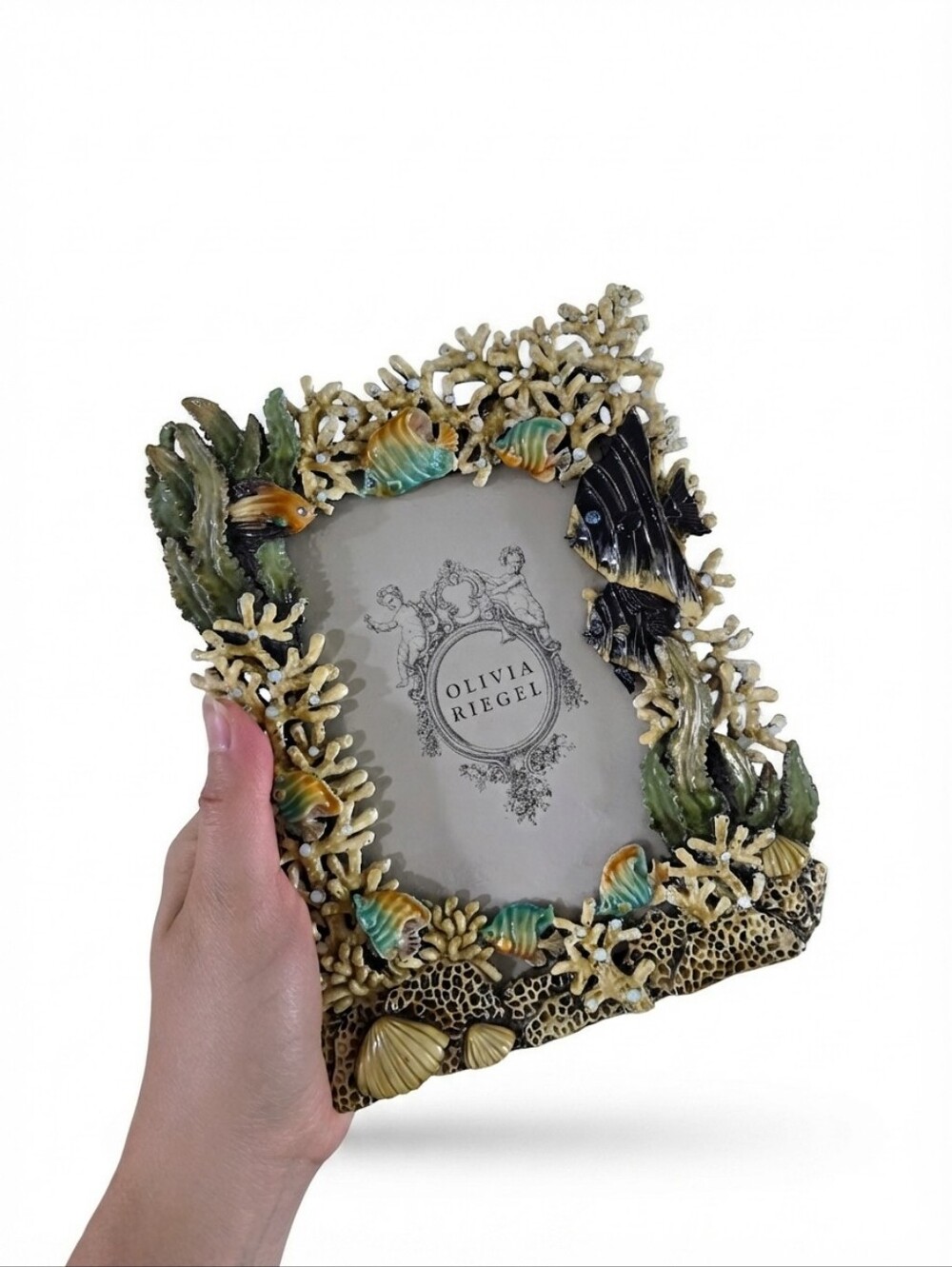 ​Olivia Riegel Vintage Coral Reef Tropical Fish 4x6 Picture Frame - Enamel & Cry